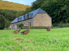 Le Ruisseau Gîte Idéal pour un Séjour à Deux au Fil de l'Eau